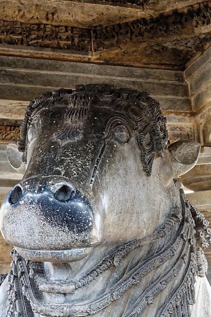 Halebid-Temple de Vishnou-022